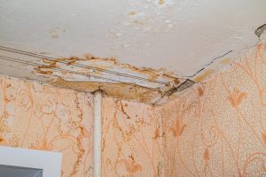 Water Damage