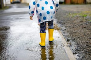 rainy season