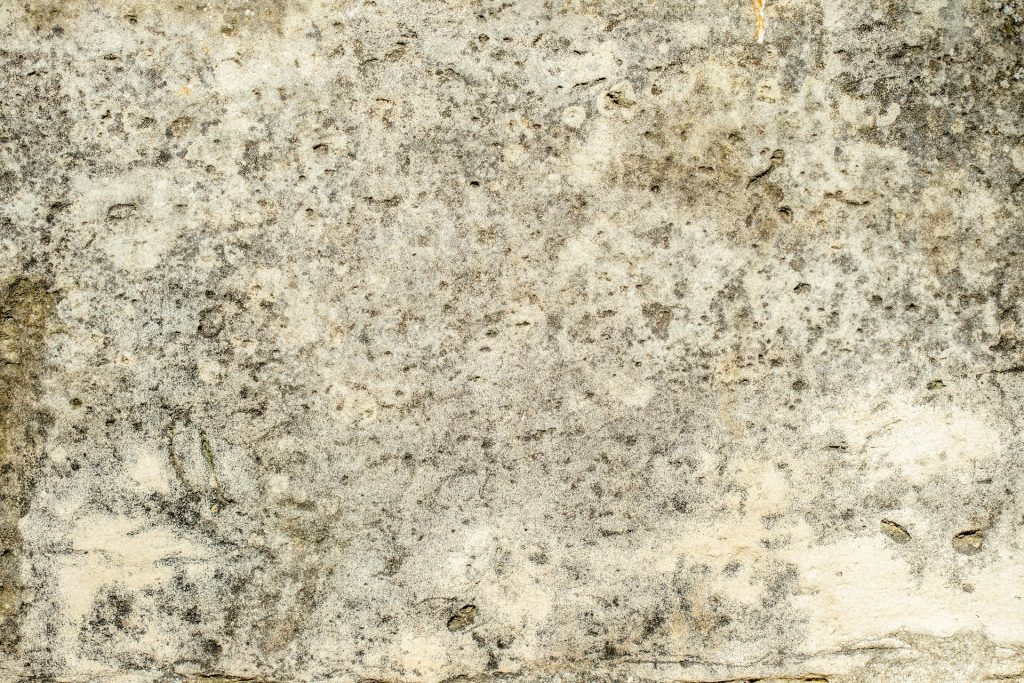 Mold Prevention