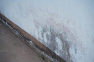 Mold