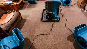 water damage restoration in Seattle